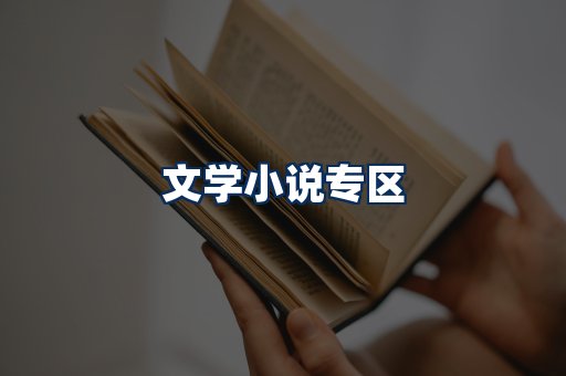 文学小说PDF展示